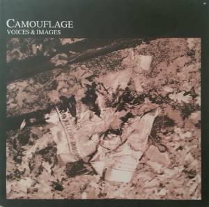 Cover: Voices & Images