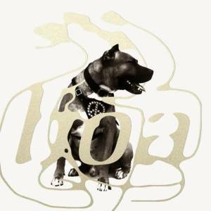 Cover: Boaphenia