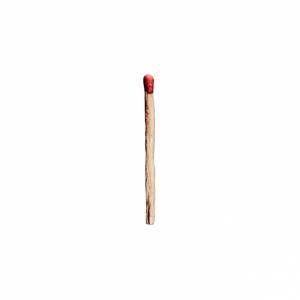 Cover: Rammstein