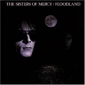 Cover: Floodland